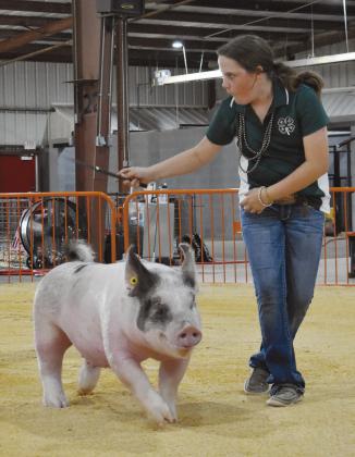Lincoln County Fair