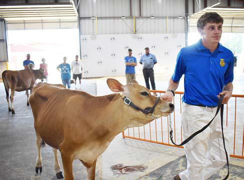 Lincoln County Fair