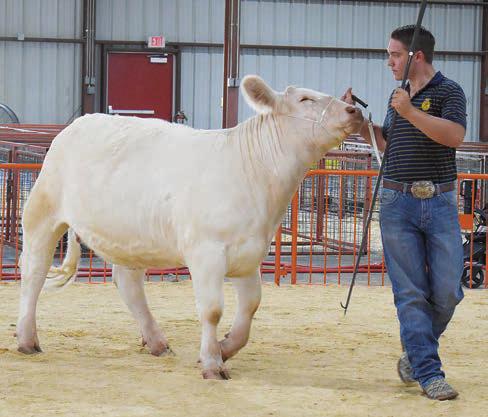 Lincoln County Fair