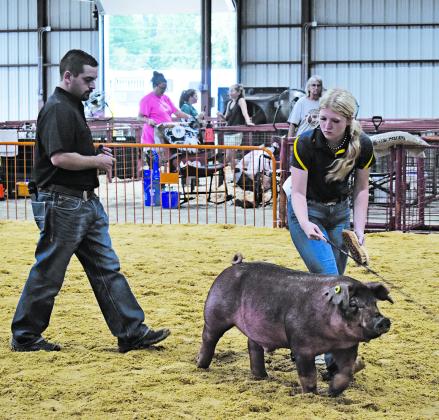Paige Keeling from Wellston FFA shows her Duroc in the Swine Show at the Lincoln County Fair on Aug. 22. She received second place in Class 1 Duroc. Keeling went on to win Reserve Champion in Yorkshire and Intermediate Showmanship. Photo/ Emily Kalka