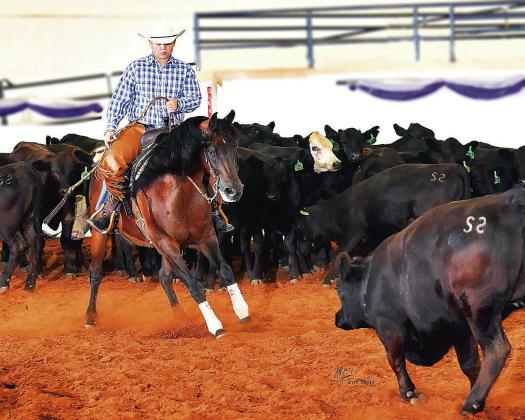Chandler student wins national championship