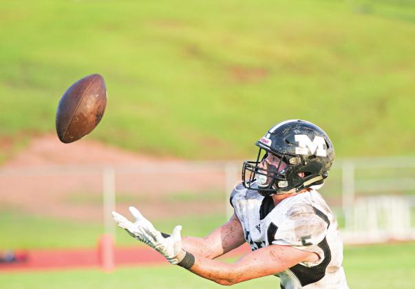 2019-2020 sports seasons