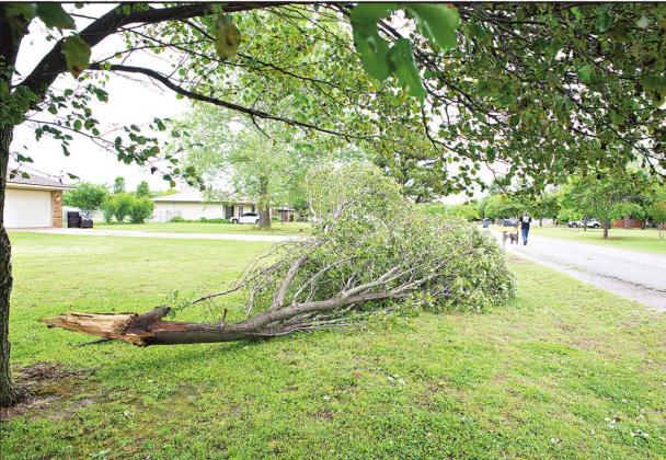 Damage from the wind storm