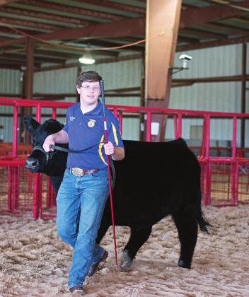 Pictured above, Scotty Stewart of Chandler FFA walks his calf around the pen waiting for the judges’ decision. Photo/Chelsea Weeks