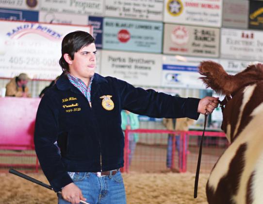 While showing his calf at the Lincoln County Livestock show last week, Kale Miller of Stroud waits for the judge. Photo/Chelsea Weeks