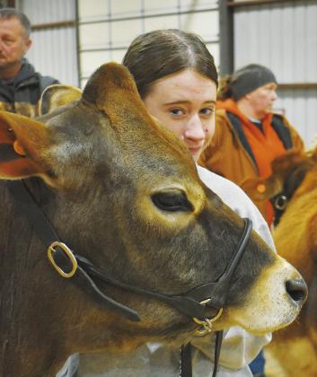 Livestock shows