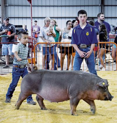 Lincoln County Fair