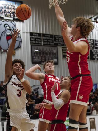 Area basketball