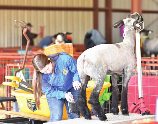Lincoln County Livestock Show