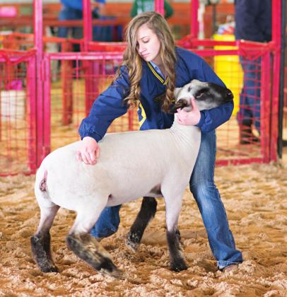 Lincoln County Livestock Show