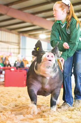 Lincoln County Livestock Show