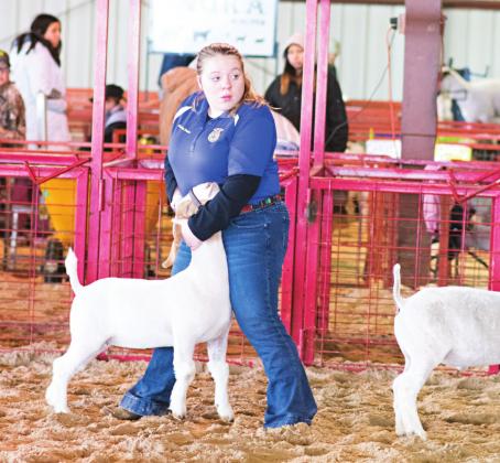 Lincoln County Livestock Show