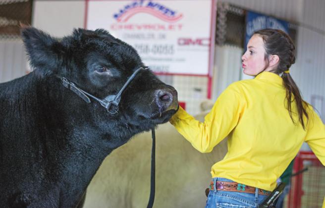 Lincoln County Livestock Show