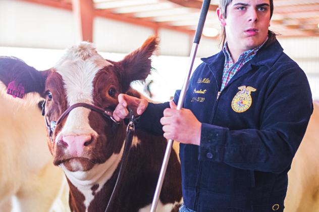 Lincoln County Livestock Show