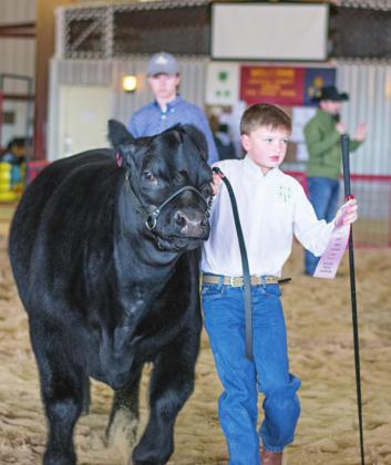 Lincoln County Livestock Show