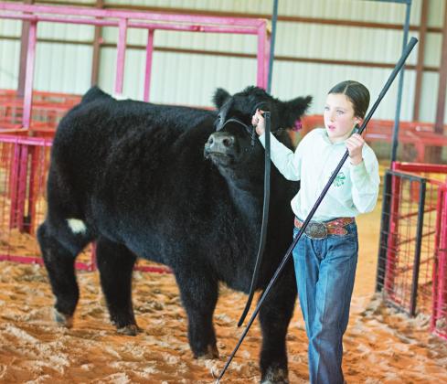 Lincoln County Livestock Show