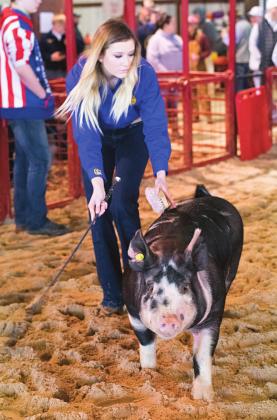Lincoln County Livestock Show