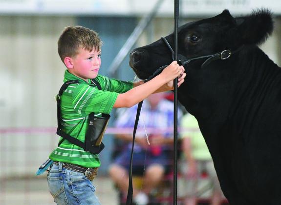 Lincoln County Fair