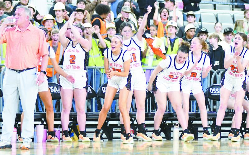 State basketball