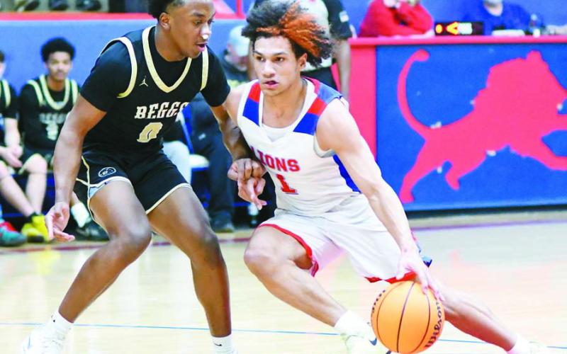 Area basketball playoffs
