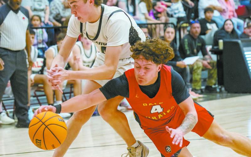 Sports week in pictures