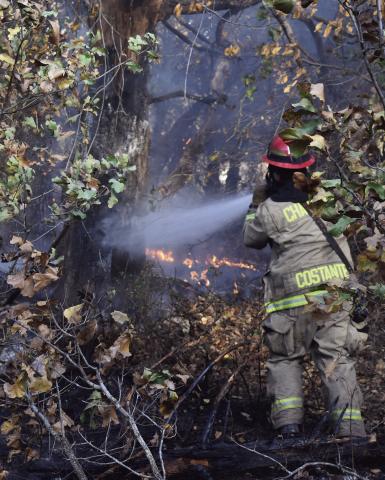 Grass fire erupts
