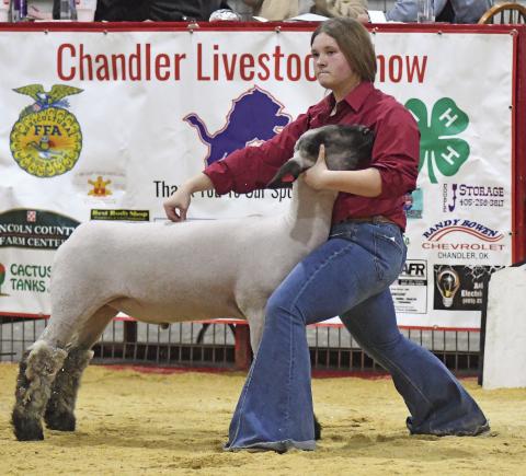 Chandler Livestock Show