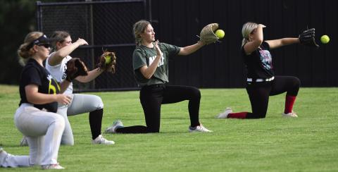 Area softball