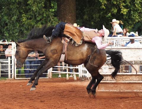 Chandler rodeo
