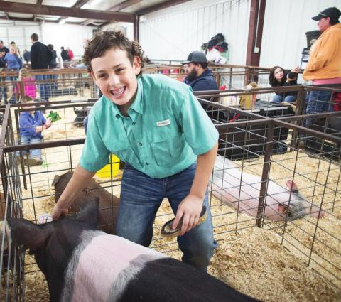 Meeker jackpot hog show