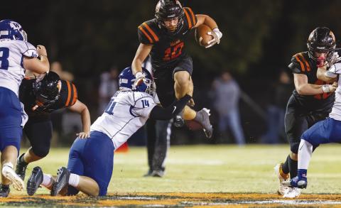 Sports week in photos