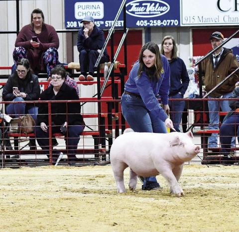 Megan Alls from Prague shows her breed champion Chester gilt Tuesday morning at the Lincoln County Livestock Show. Photo/Brian Blansett