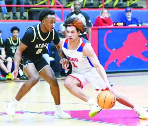 Area basketball playoffs