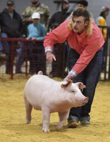 Jayden Mlynek from Prague shows his Chester White gilt Saturday at the Meeker Ag Boosters swine show. Held at the Lincoln County Fairgrounds, the show was the first of the season and drew of close to 300 entries. For more photos, please see Page 4C. For a list of those who placed, please see Page 2D. Photo/Brian Blansett