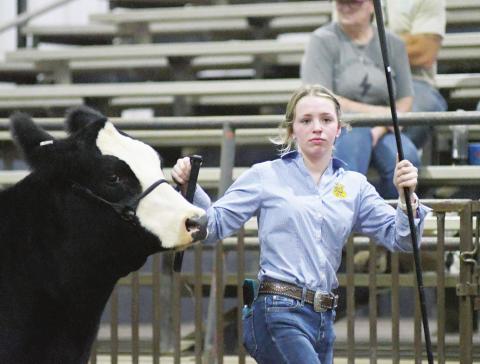 Pottawatomie County Fair