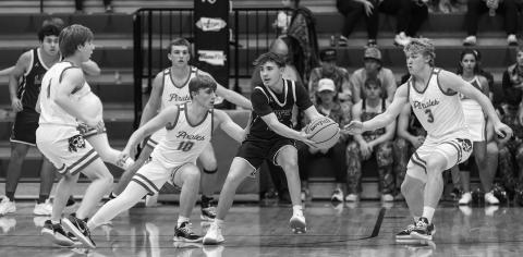 Area basketball in photos