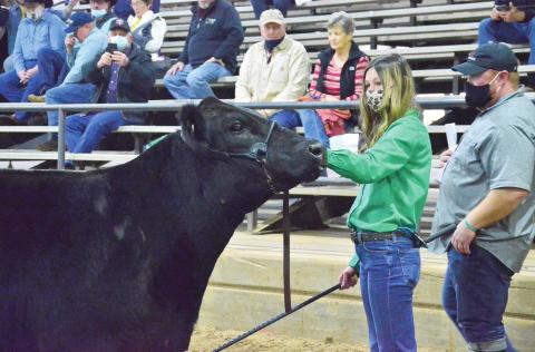 Pott County Livestock Show