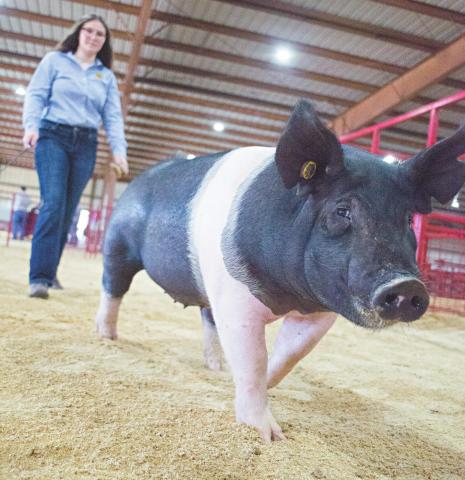Lincoln County Fair