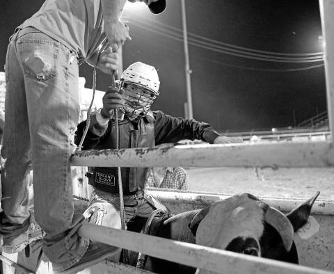 Chandler rodeo