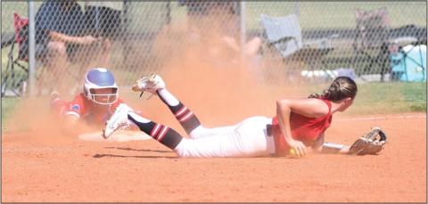 Area softball scores