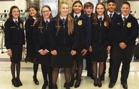 Meeker Greenhands win competitions