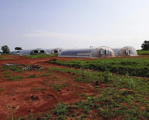 Another grow house bust