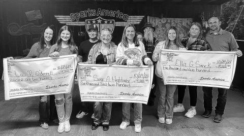 SparksAmerica scholarships