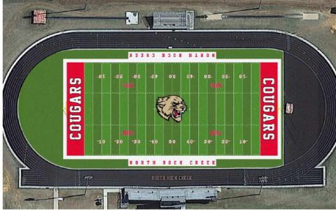 NRC to get turf athletic fields