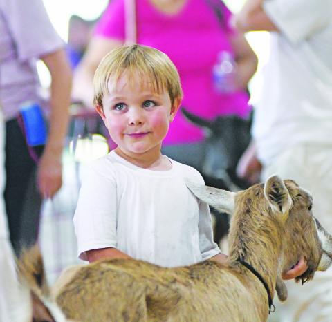 Danny Taylor, 6, of Chandler gave the judge a blue-ribbon cherubic smile during the dairy goat show at the Lincoln County Fair last week. Despite the hot weather, there was a good turnout of attendees and exhibitors. See Page 2A for more photos from the fair. Photo/Brian Blansett
