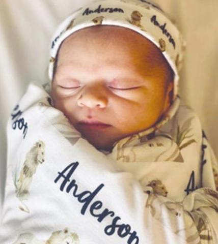 Anderson Joe Long