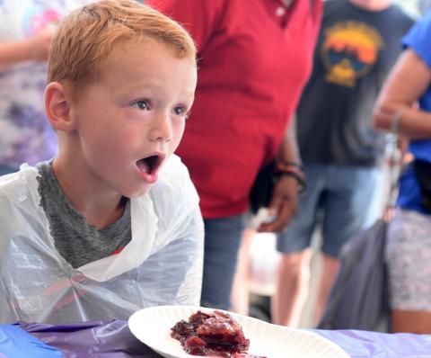 Blackberry Festival