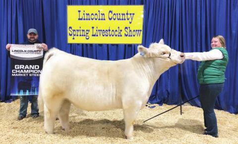 Champion steer at county show
