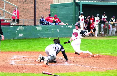 Area baseball