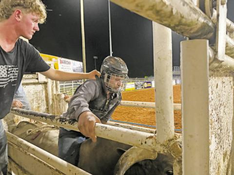 Chandler rodeo in pictures
